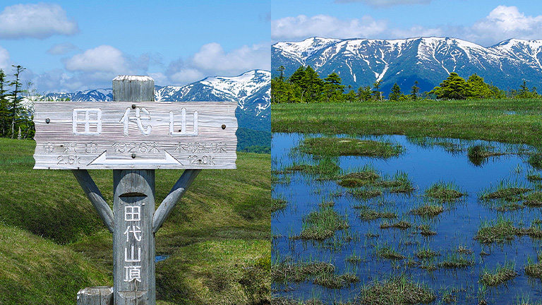 左：山頂看板　右：山頂湿原池塘初夏