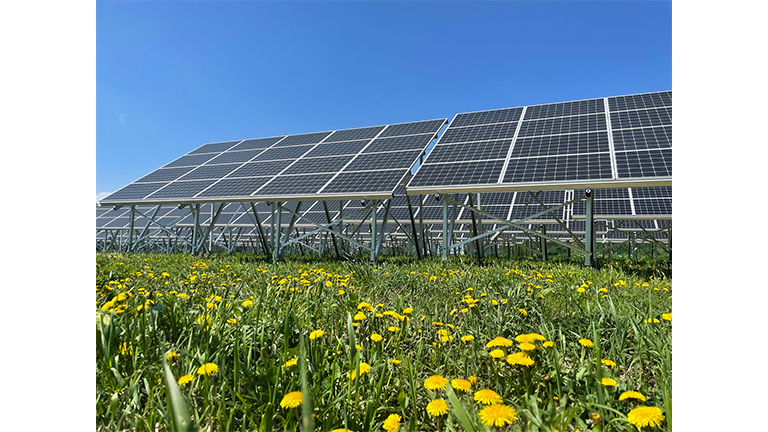 ＜参考＞既存の太陽光発電所（LCE社建設）